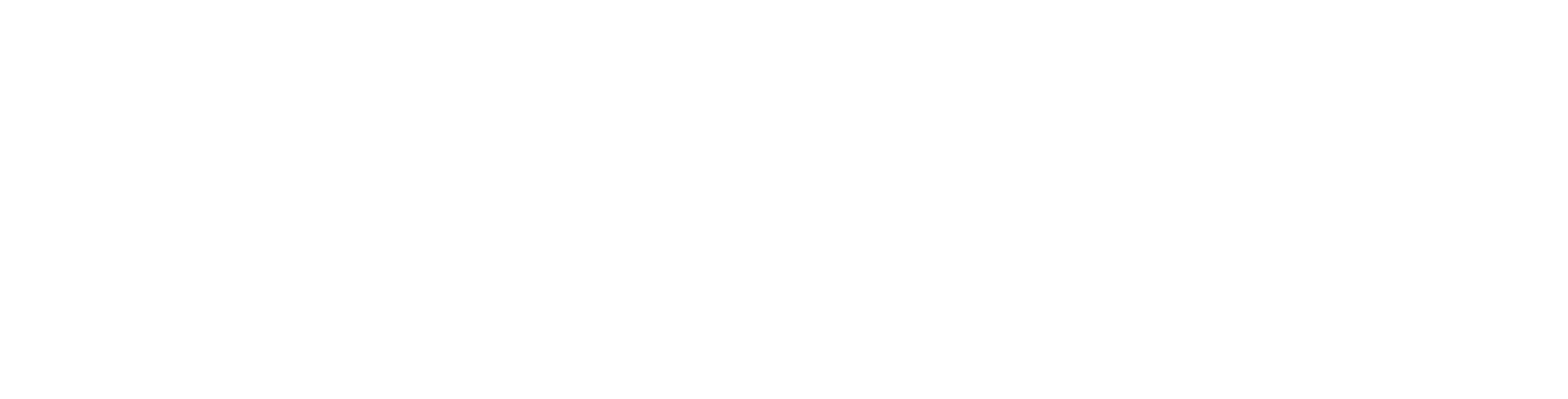 Netcode logo